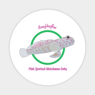 Pink Spotted Watchman Goby Magnet